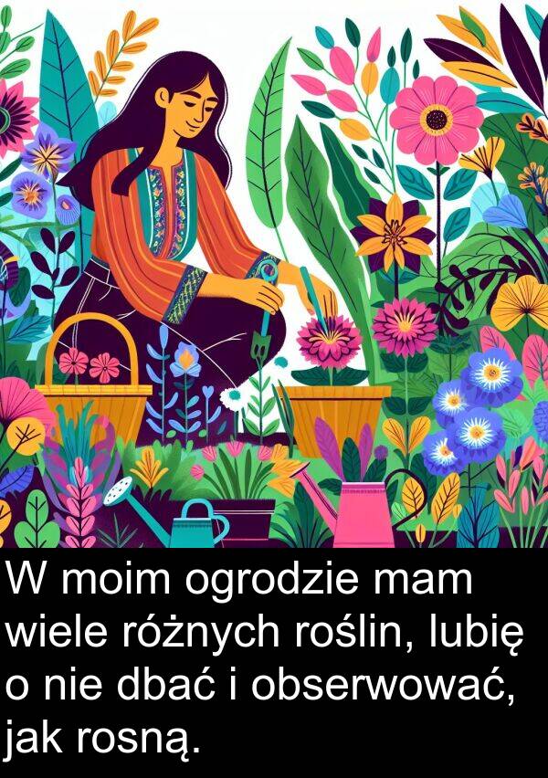 mam: W moim ogrodzie mam wiele różnych roślin, lubię o nie dbać i obserwować, jak rosną.