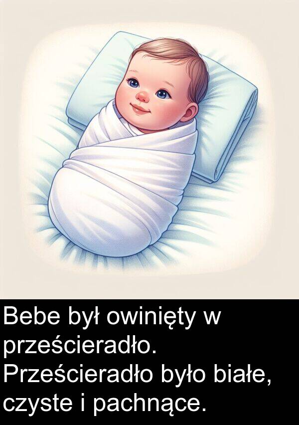 prześcieradło: Bebe był owinięty w prześcieradło. Prześcieradło było białe, czyste i pachnące.