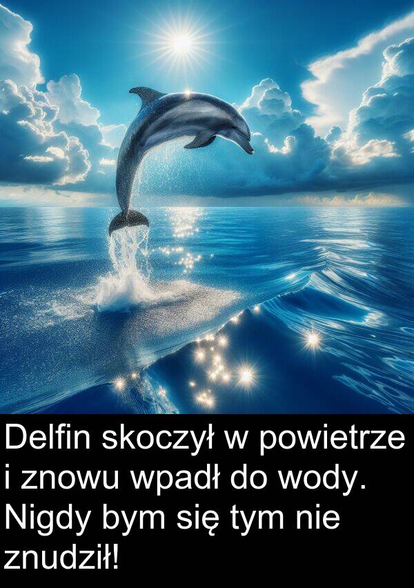 powietrze: Delfin skoczył w powietrze i znowu wpadł do wody. Nigdy bym się tym nie znudził!