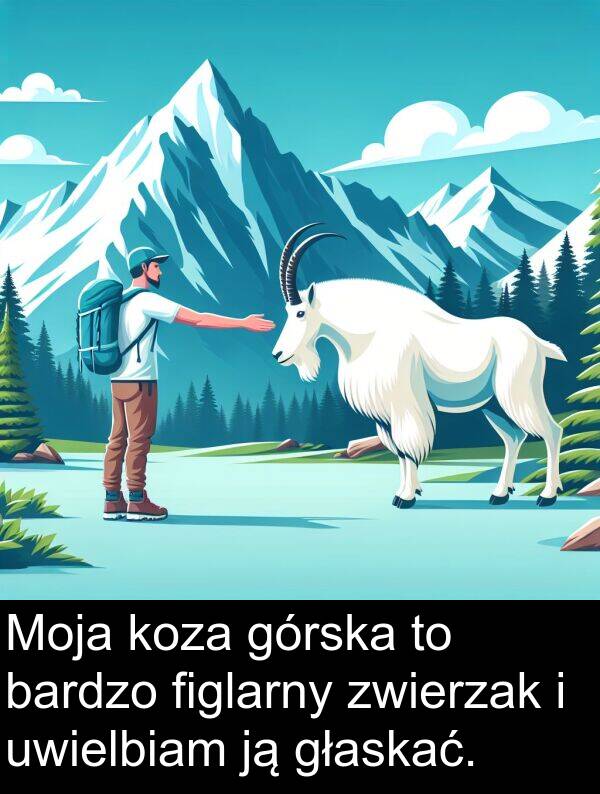 zwierzak: Moja koza górska to bardzo figlarny zwierzak i uwielbiam ją głaskać.