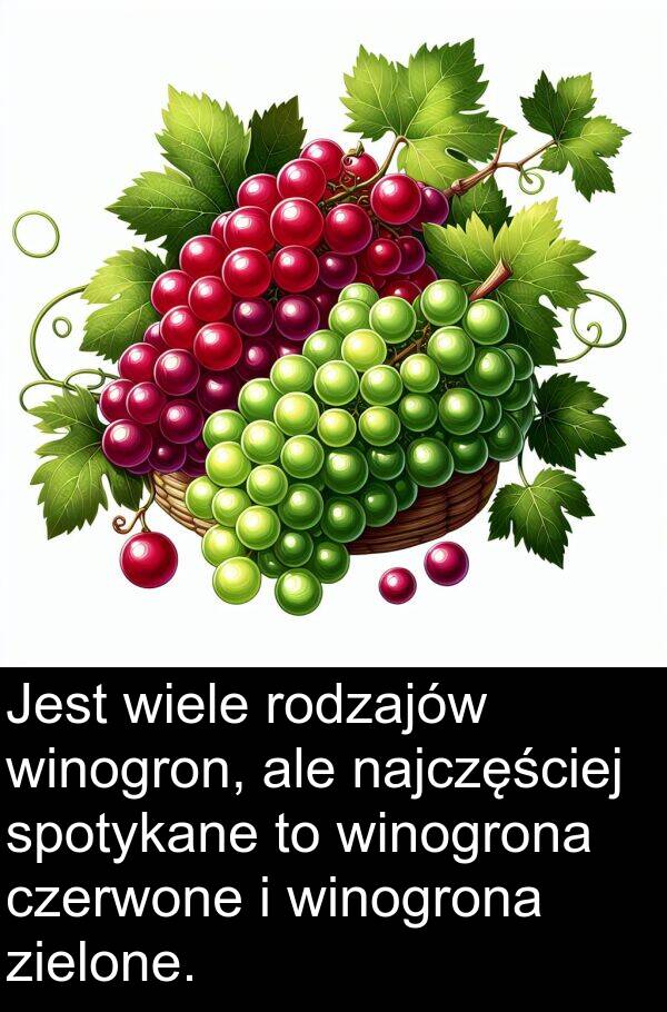 zielone: Jest wiele rodzajów winogron, ale najczęściej spotykane to winogrona czerwone i winogrona zielone.