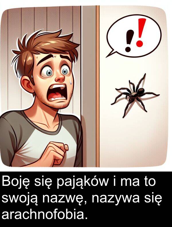 arachnofobia: Boję się pająków i ma to swoją nazwę, nazywa się arachnofobia.