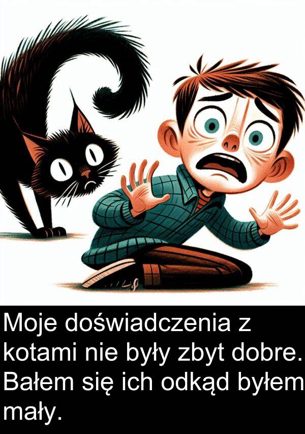 zbyt: Moje doświadczenia z kotami nie były zbyt dobre. Bałem się ich odkąd byłem mały.