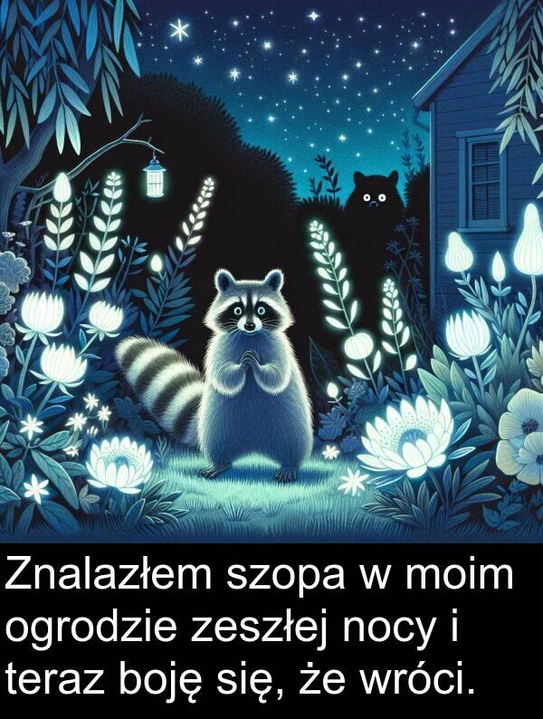zeszłej: Znalazłem szopa w moim ogrodzie zeszłej nocy i teraz boję się, że wróci.