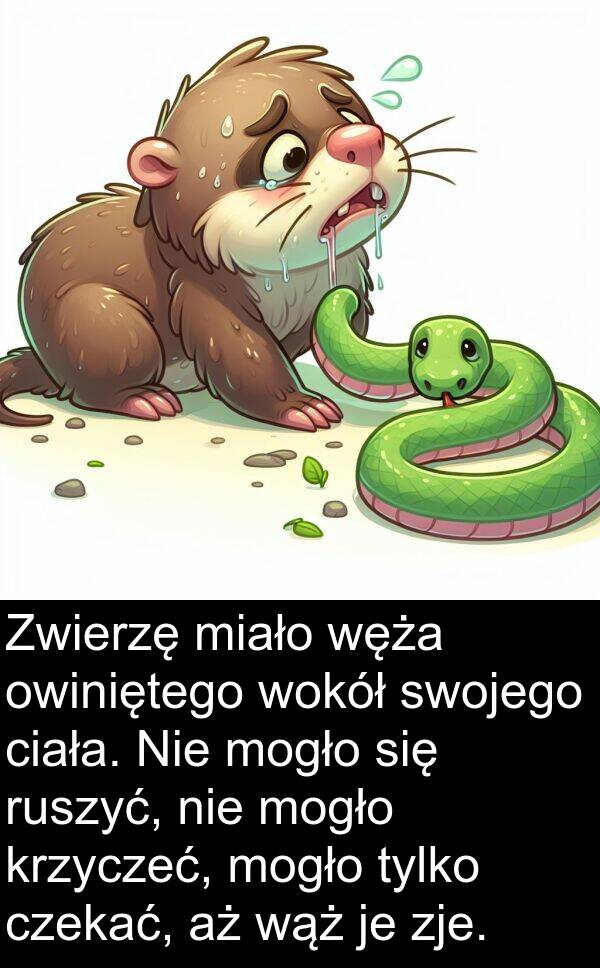 wąż: Zwierzę miało węża owiniętego wokół swojego ciała. Nie mogło się ruszyć, nie mogło krzyczeć, mogło tylko czekać, aż wąż je zje.