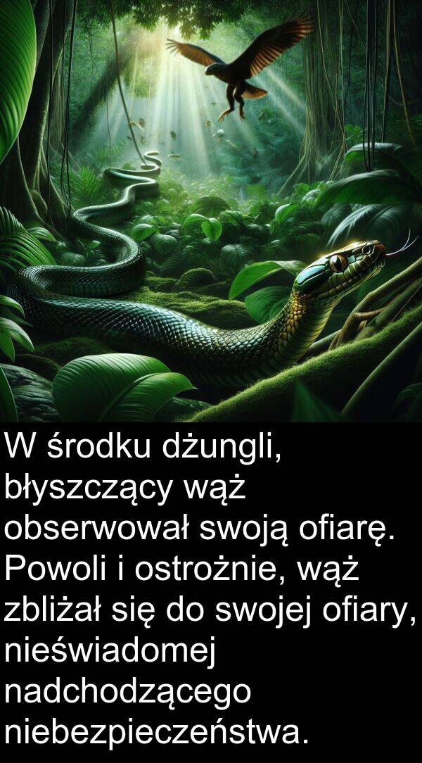 zbliżał: W środku dżungli, błyszczący wąż obserwował swoją ofiarę. Powoli i ostrożnie, wąż zbliżał się do swojej ofiary, nieświadomej nadchodzącego niebezpieczeństwa.