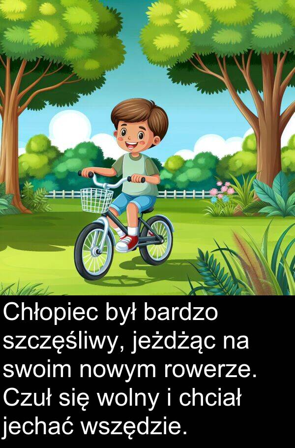 jechać: Chłopiec był bardzo szczęśliwy, jeżdżąc na swoim nowym rowerze. Czuł się wolny i chciał jechać wszędzie.