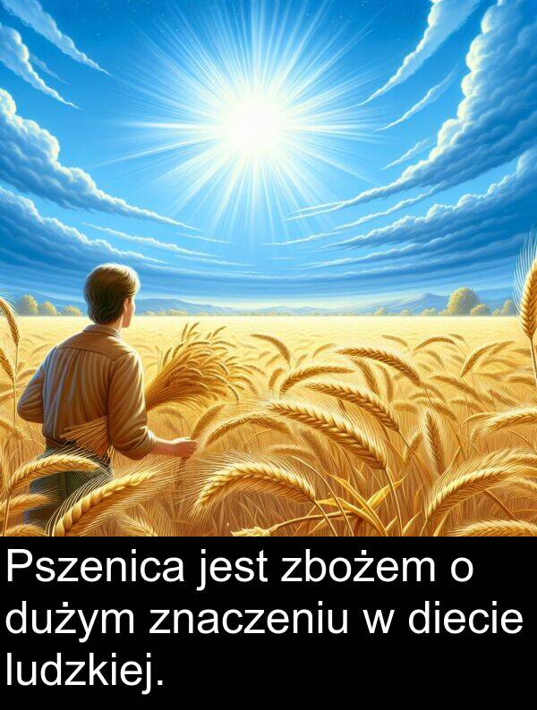 zbożem: Pszenica jest zbożem o dużym znaczeniu w diecie ludzkiej.
