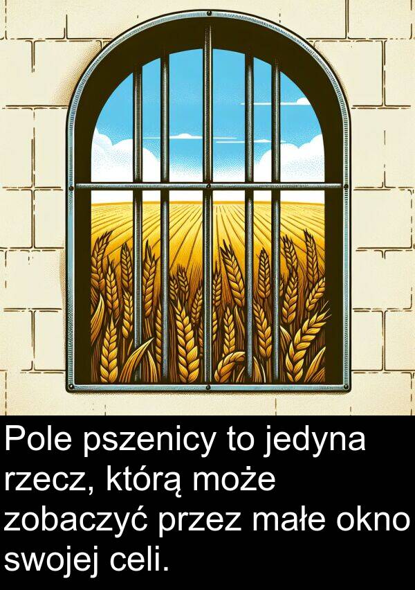 pszenicy: Pole pszenicy to jedyna rzecz, którą może zobaczyć przez małe okno swojej celi.