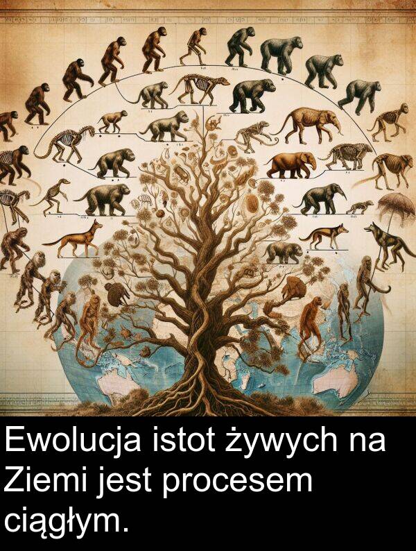 procesem: Ewolucja istot żywych na Ziemi jest procesem ciągłym.
