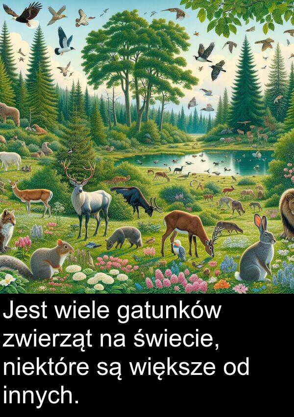 zwierząt: Jest wiele gatunków zwierząt na świecie, niektóre są większe od innych.