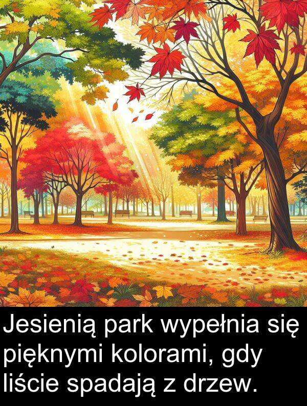 pięknymi: Jesienią park wypełnia się pięknymi kolorami, gdy liście spadają z drzew.