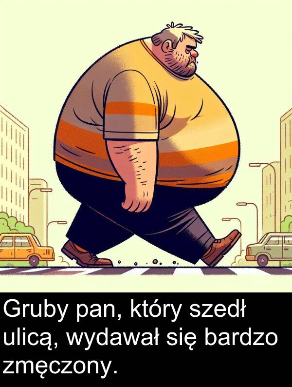 pan: Gruby pan, który szedł ulicą, wydawał się bardzo zmęczony.