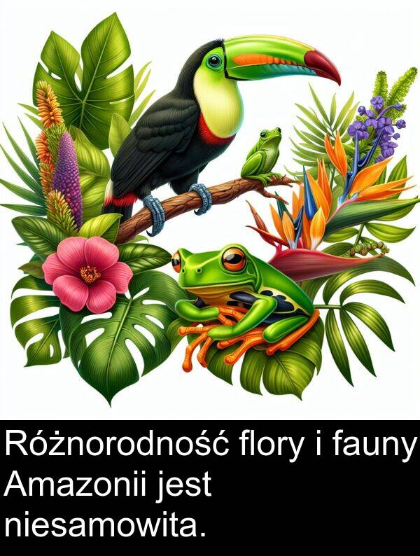 fauny: Różnorodność flory i fauny Amazonii jest niesamowita.