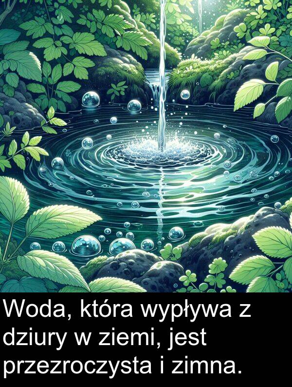 zimna: Woda, która wypływa z dziury w ziemi, jest przezroczysta i zimna.