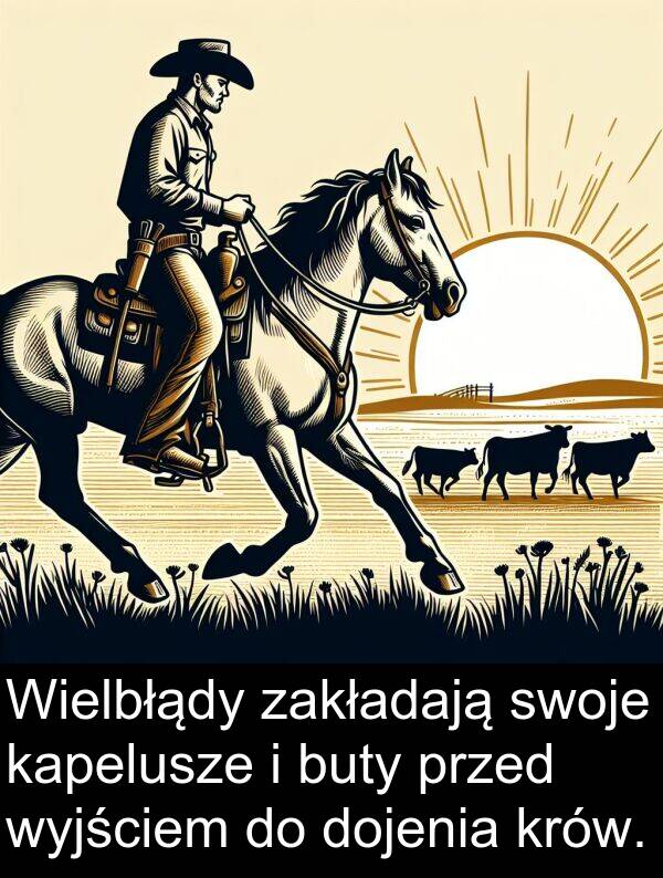 przed: Wielbłądy zakładają swoje kapelusze i buty przed wyjściem do dojenia krów.