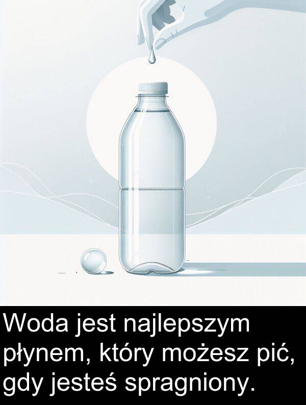 płynem: Woda jest najlepszym płynem, który możesz pić, gdy jesteś spragniony.