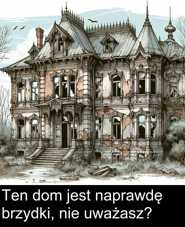 nie: Ten dom jest naprawdę brzydki, nie uważasz?