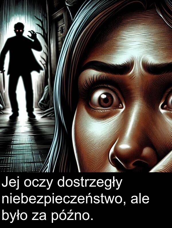 późno: Jej oczy dostrzegły niebezpieczeństwo, ale było za późno.