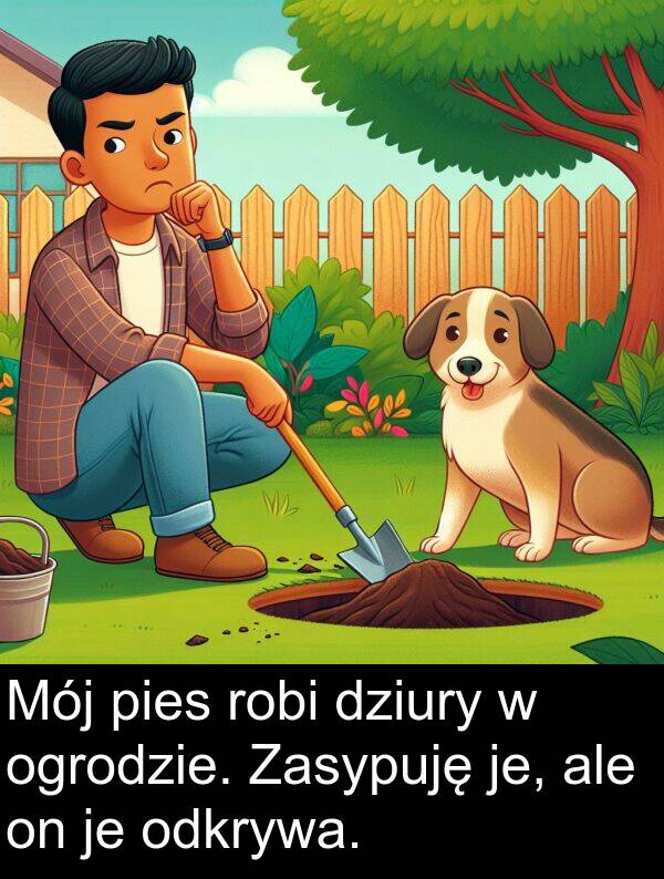 pies: Mój pies robi dziury w ogrodzie. Zasypuję je, ale on je odkrywa.