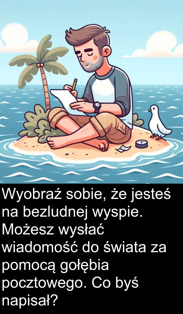 wysłać: Wyobraź sobie, że jesteś na bezludnej wyspie. Możesz wysłać wiadomość do świata za pomocą gołębia pocztowego. Co byś napisał?