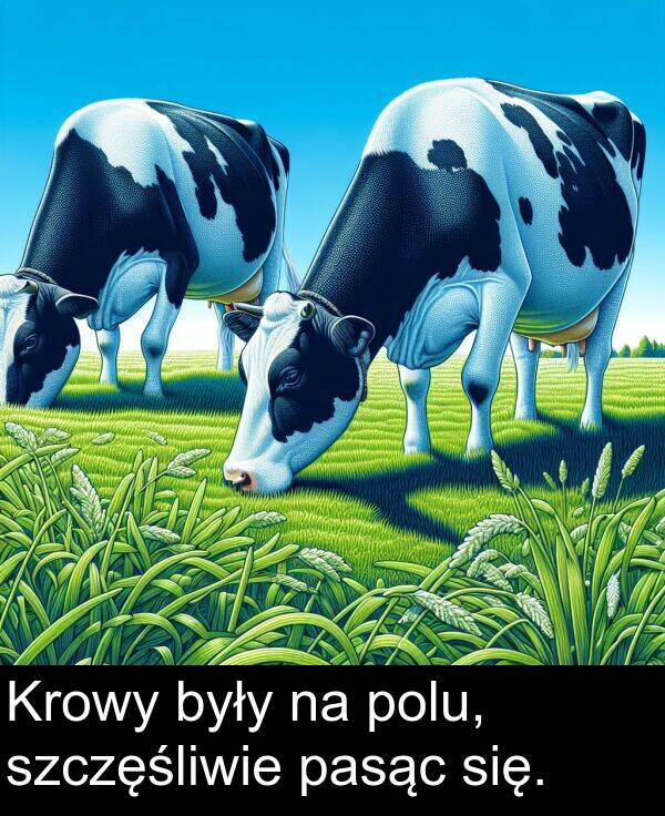 pasąc: Krowy były na polu, szczęśliwie pasąc się.