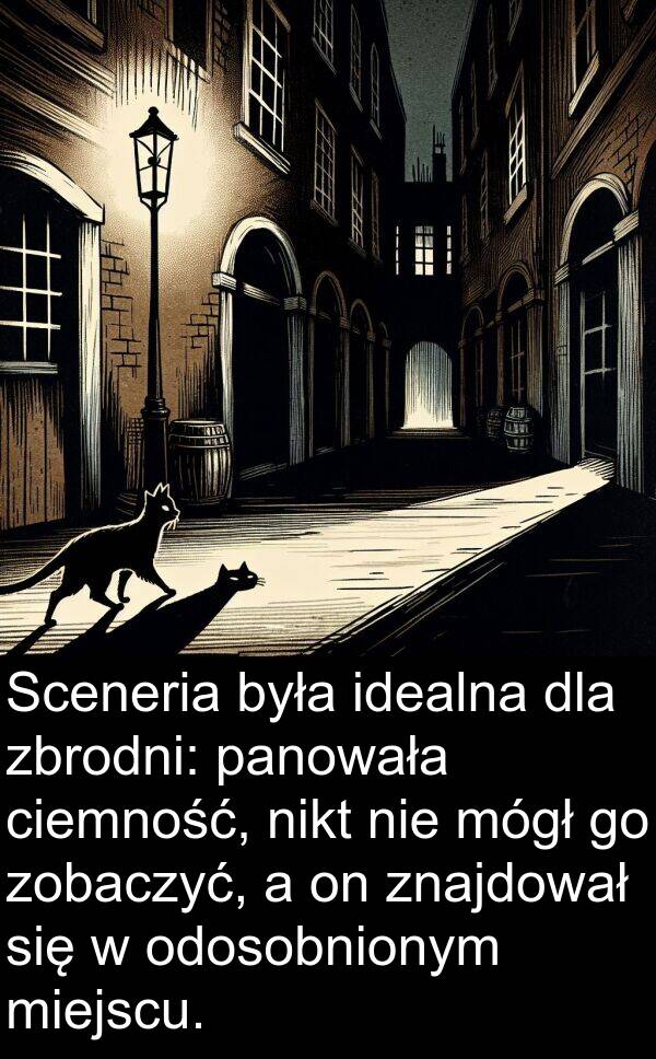 zobaczyć: Sceneria była idealna dla zbrodni: panowała ciemność, nikt nie mógł go zobaczyć, a on znajdował się w odosobnionym miejscu.