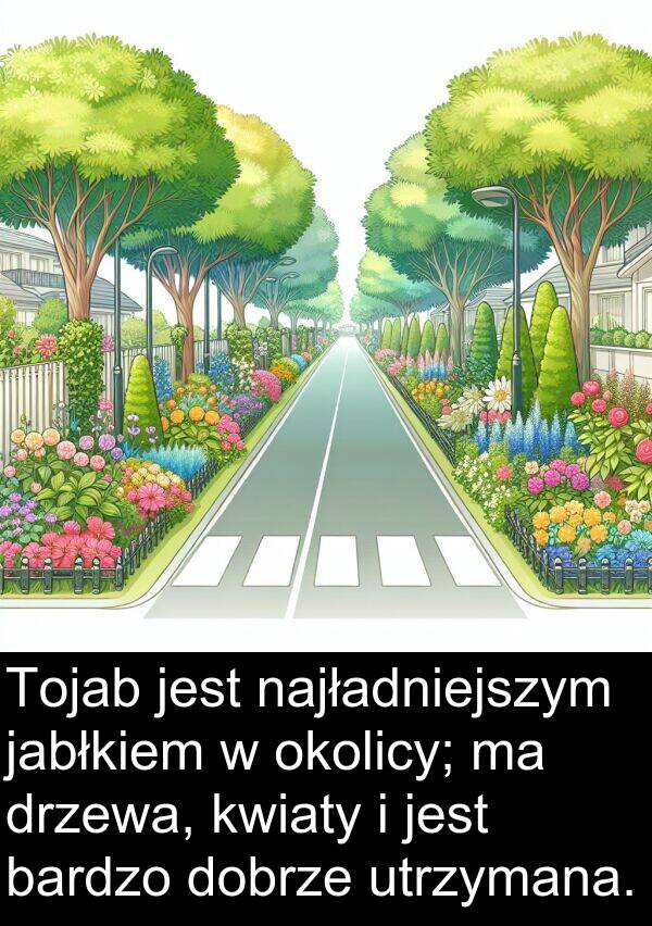 jabłkiem: Tojab jest najładniejszym jabłkiem w okolicy; ma drzewa, kwiaty i jest bardzo dobrze utrzymana.