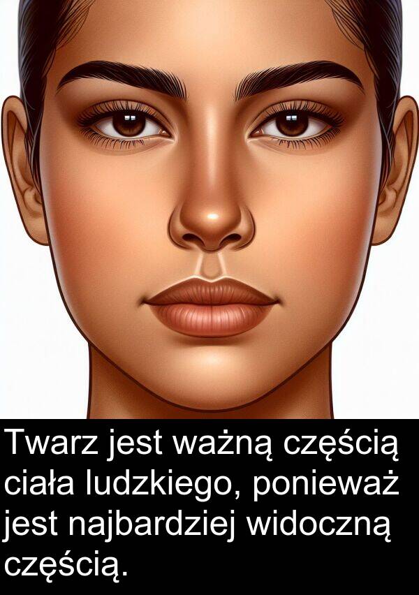 ważną: Twarz jest ważną częścią ciała ludzkiego, ponieważ jest najbardziej widoczną częścią.