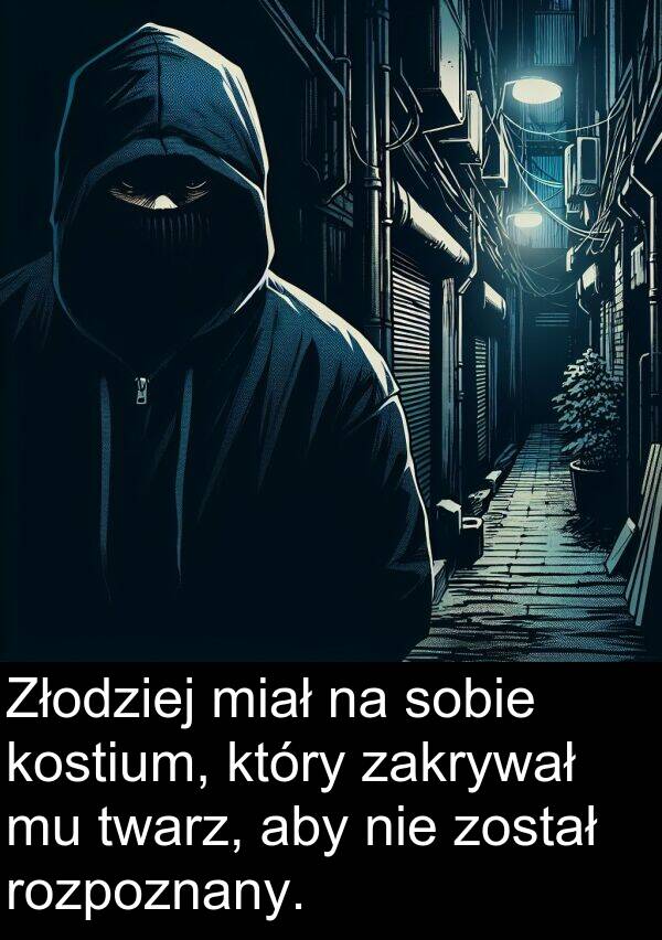 został: Złodziej miał na sobie kostium, który zakrywał mu twarz, aby nie został rozpoznany.