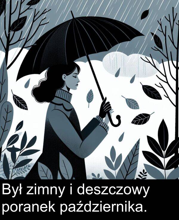 zimny: Był zimny i deszczowy poranek października.