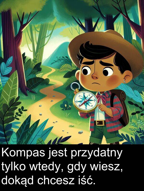 przydatny: Kompas jest przydatny tylko wtedy, gdy wiesz, dokąd chcesz iść.