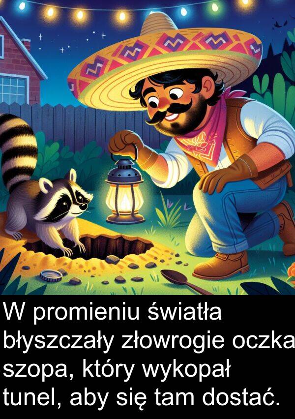 promieniu: W promieniu światła błyszczały złowrogie oczka szopa, który wykopał tunel, aby się tam dostać.