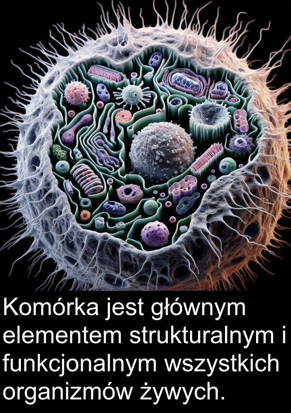 żywych: Komórka jest głównym elementem strukturalnym i funkcjonalnym wszystkich organizmów żywych.