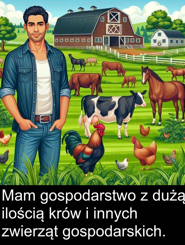 zwierząt: Mam gospodarstwo z dużą ilością krów i innych zwierząt gospodarskich.
