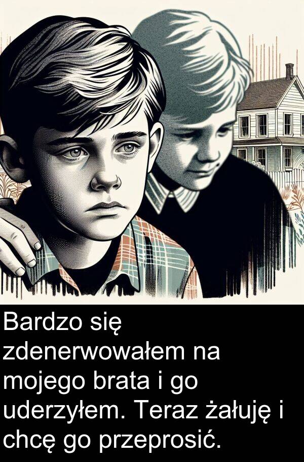 przeprosić: Bardzo się zdenerwowałem na mojego brata i go uderzyłem. Teraz żałuję i chcę go przeprosić.