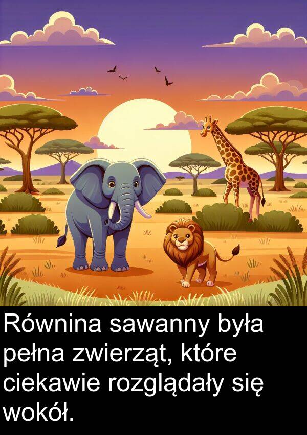 zwierząt: Równina sawanny była pełna zwierząt, które ciekawie rozglądały się wokół.