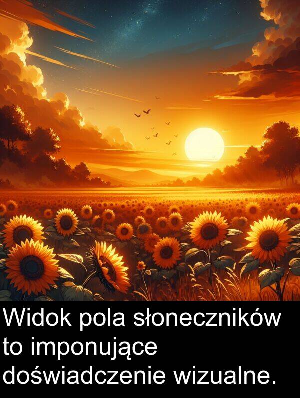 wizualne: Widok pola słoneczników to imponujące doświadczenie wizualne.