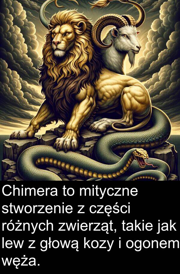 zwierząt: Chimera to mityczne stworzenie z części różnych zwierząt, takie jak lew z głową kozy i ogonem węża.