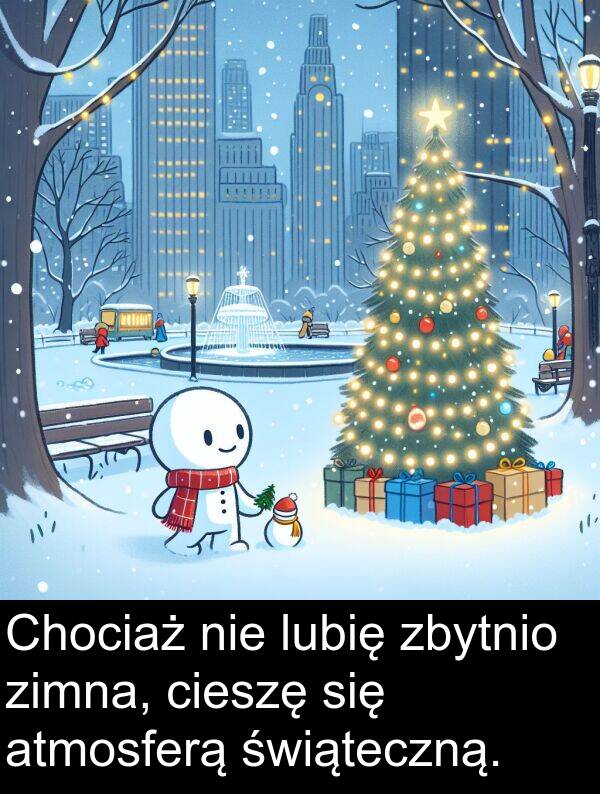 zimna: Chociaż nie lubię zbytnio zimna, cieszę się atmosferą świąteczną.