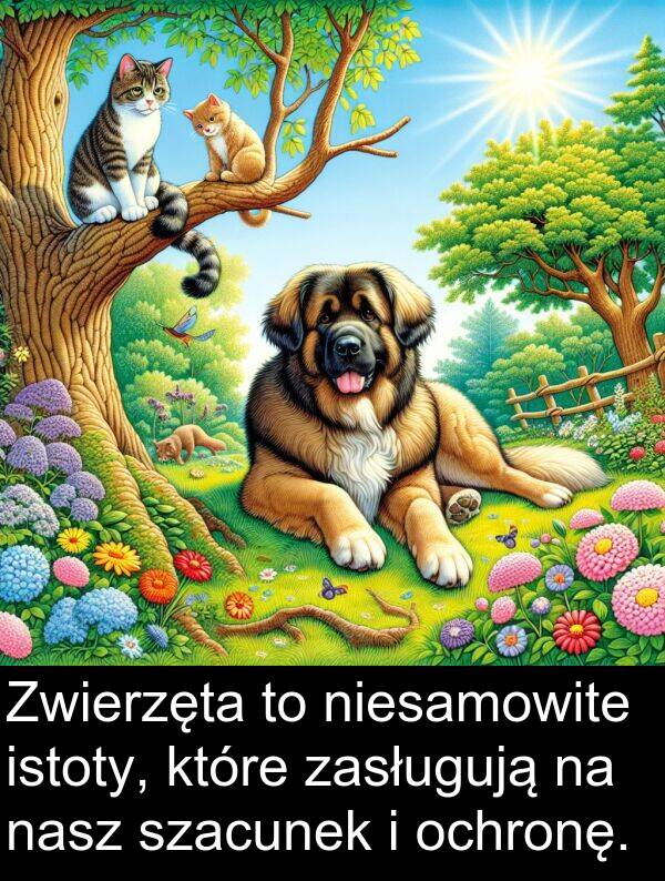 szacunek: Zwierzęta to niesamowite istoty, które zasługują na nasz szacunek i ochronę.
