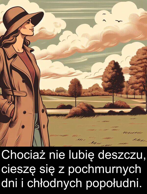 cieszę: Chociaż nie lubię deszczu, cieszę się z pochmurnych dni i chłodnych popołudni.
