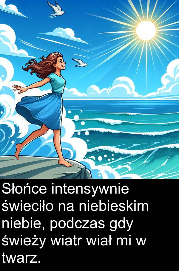 wiatr: Słońce intensywnie świeciło na niebieskim niebie, podczas gdy świeży wiatr wiał mi w twarz.