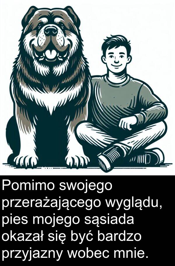 pies: Pomimo swojego przerażającego wyglądu, pies mojego sąsiada okazał się być bardzo przyjazny wobec mnie.
