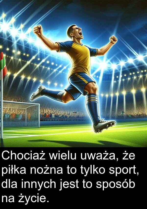 życie: Chociaż wielu uważa, że piłka nożna to tylko sport, dla innych jest to sposób na życie.