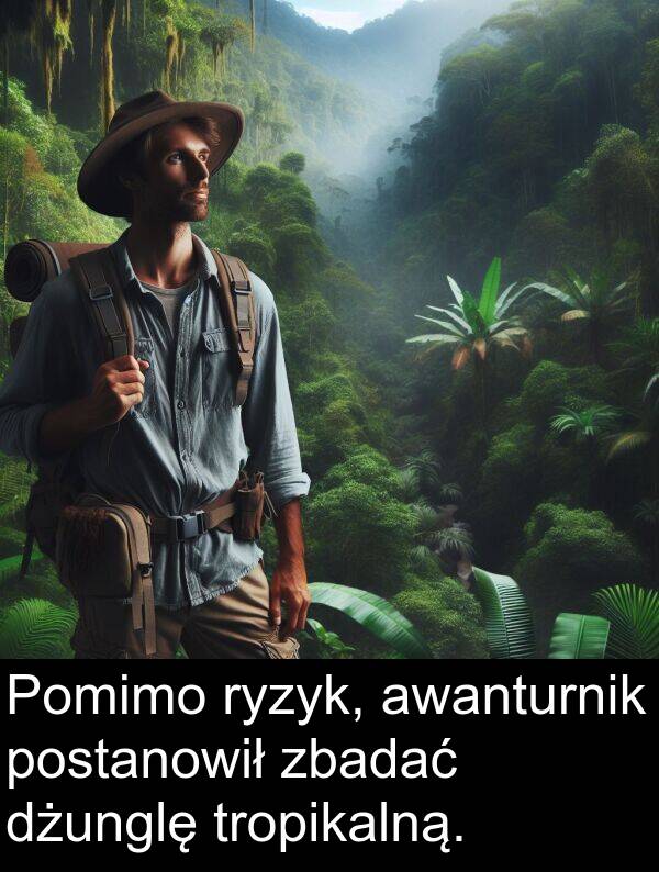 zbadać: Pomimo ryzyk, awanturnik postanowił zbadać dżunglę tropikalną.