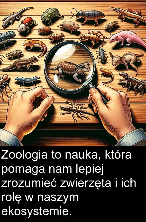 zrozumieć: Zoologia to nauka, która pomaga nam lepiej zrozumieć zwierzęta i ich rolę w naszym ekosystemie.