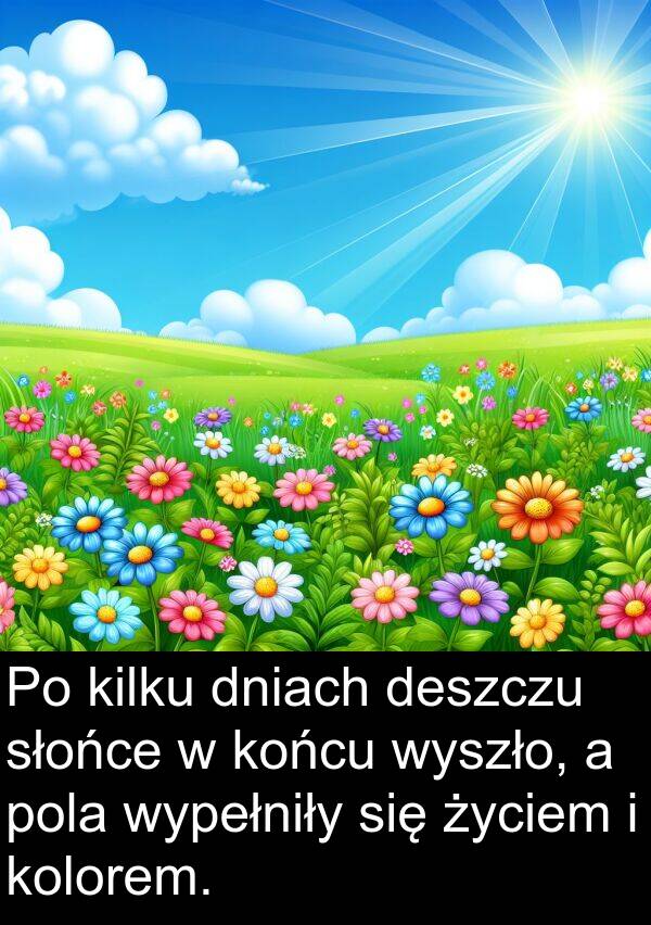 życiem: Po kilku dniach deszczu słońce w końcu wyszło, a pola wypełniły się życiem i kolorem.