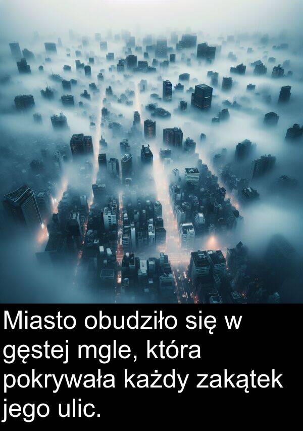 mgle: Miasto obudziło się w gęstej mgle, która pokrywała każdy zakątek jego ulic.