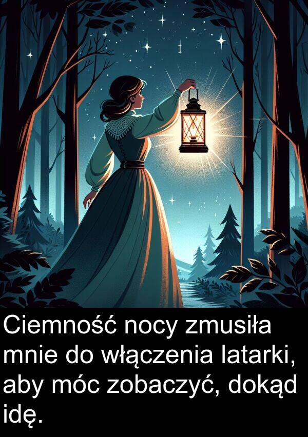zobaczyć: Ciemność nocy zmusiła mnie do włączenia latarki, aby móc zobaczyć, dokąd idę.